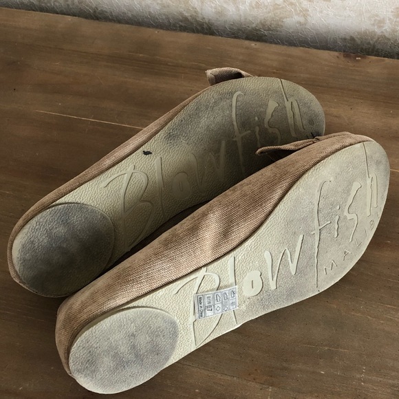 Blowfish flats - Picture 6 of 6